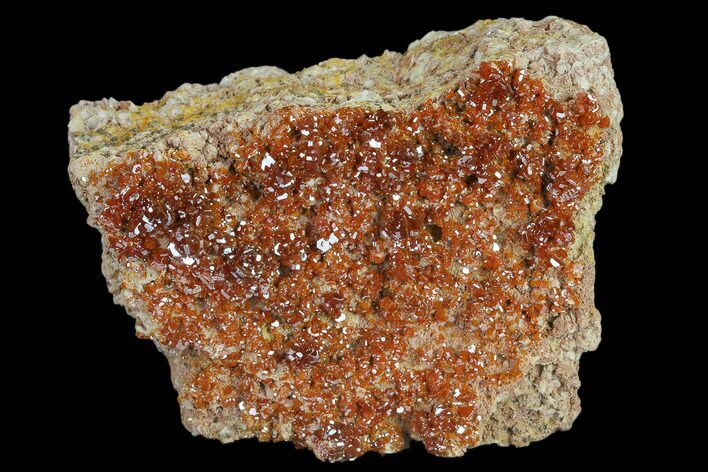 Ruby Red Vanadinite Crystals on Barite - Morocco #134684